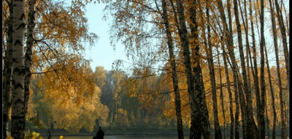 Золотая осень