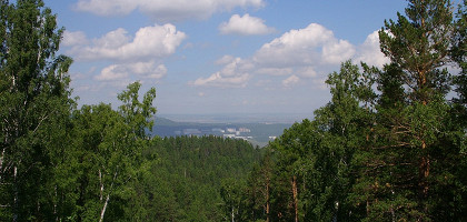 Бобровый лог