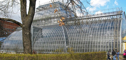 Ботанический институт им. В. Л. Комарова, оранжерея