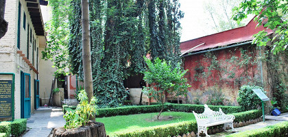 Дом Троцкого, сад
