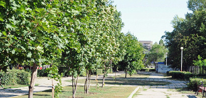 Балаково, Россия, сквер