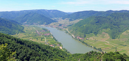 Панорама долины Вахау