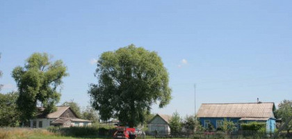 Поселок Троицкий, Тамбовская область