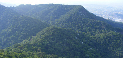 Вид на лес Тижука, Рио-де-Жанейро