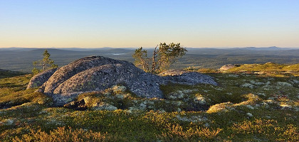 Гора Нуорунен