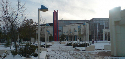 Муниципальная галерея, Лариса