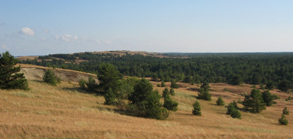 Ландшафт Юодкранте Куршская коса