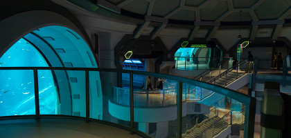 Смотровая площадка аквариума SeaWorld Abu Dhabi