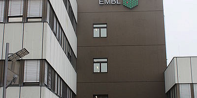 Здание Eвропейской молекулярно-биологической лаборатории в Гейдельберге