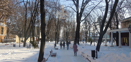 Городской сад Одессы, зимний день