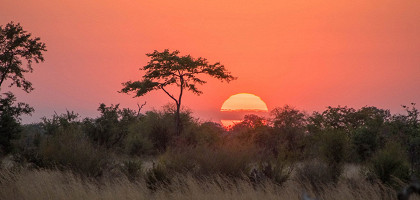 Закат солнца в национальном парке Хванге, Зимбабве