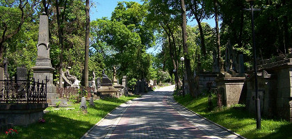 Аллея Лычаковского кладбища