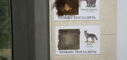 «Погладь меня», музей Дарвина, Москва