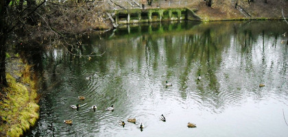 В окрестности государева двора