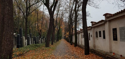Осенняя аллея Ольшанского кладбища в Праге