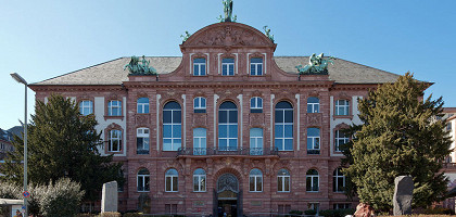 Зенкенбергский музей, Франкфурт