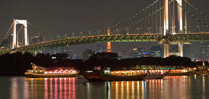 Висячий Радужный мост в Токио