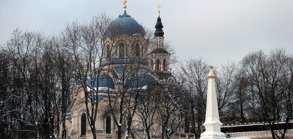 Донской монастырь зимой, Москва