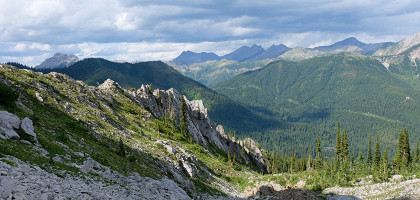 Вид на горы и зеленый лес возле Фернье