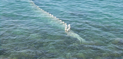 Рыболовные сети в море, Пиран, Словения