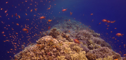 Подводный мир, Голубая дыра в Дахабе