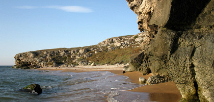 Каралар