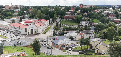 Виды Волоколасмкса