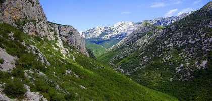 Национальный парк Пакленица, каньон
