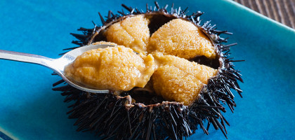 Морской еж, ложка