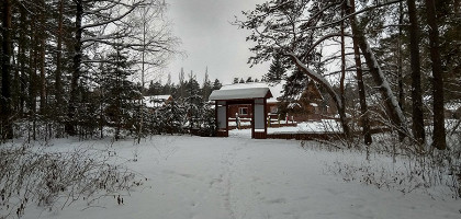 Зимняя прогулка по Мордовскому заповеднику