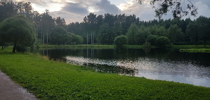 Парк «Сосновка», Санкт-Петербург