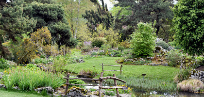 Ботанический сад Женевы, дендрарий