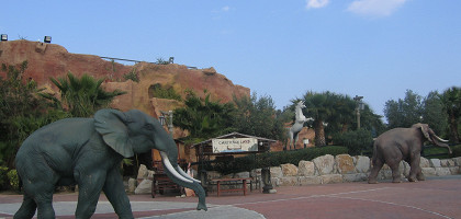 Слоны в парке Carthage Land