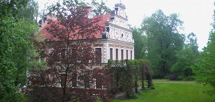 Усадьба Вороново, Голландский домик