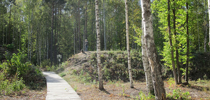 Золотаревское городище в Пензенской области