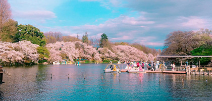 Парк Инокасира, Япония