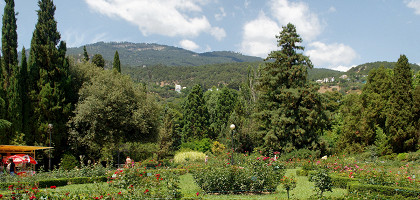 Никитский ботанический сад, Ялта