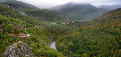 Лесная речка в Наварре с высоты птичьего полета