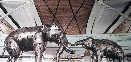 Слоны в аэропрту Бангкока