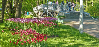 Парк на Елагином острове, Санкт-Петербург