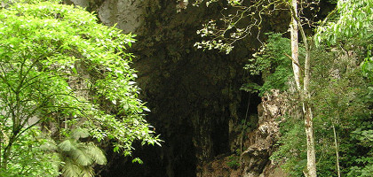 Национальный парк Эль-Гуачаро