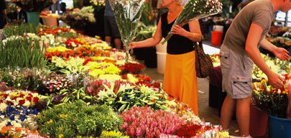 Цветы на любой вкус и цвет на рынке в Нетании