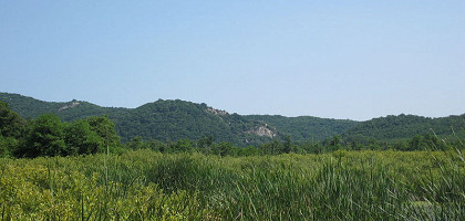 Природа в Дюнах