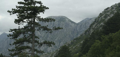 Природа парка Ловчен