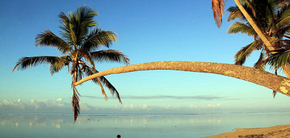 Утро на пляже с пальмами, Фиджи