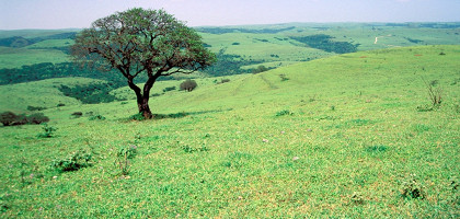 Зелёные склоны Омана