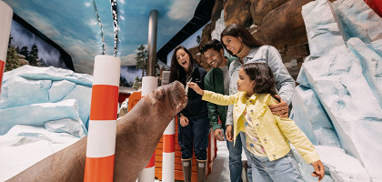 SeaWorld Abu Dhabi4