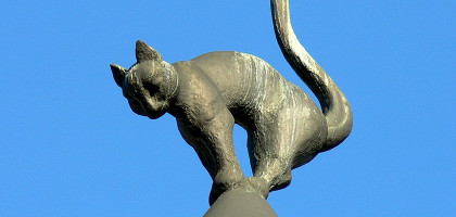 Кошкин дом в Риге, один из котов