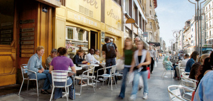 Rues Basses-основная торговая улица Женевы