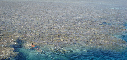 Риф Красного моря, Хургада, Египет
